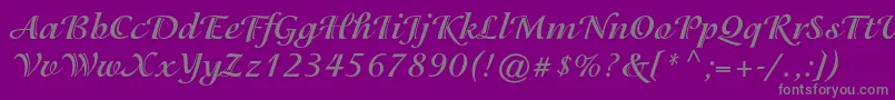 IsadorastdBold-Schriftart – Graue Schriften auf violettem Hintergrund