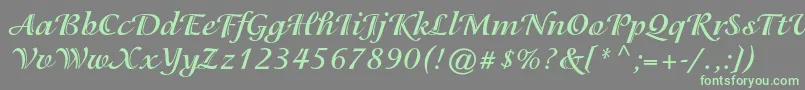 IsadorastdBold Font – Green Fonts on Gray Background