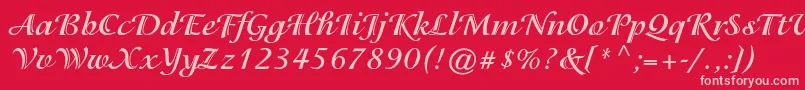 IsadorastdBold Font – Pink Fonts on Red Background