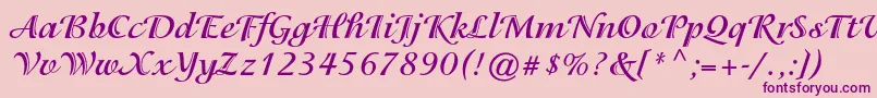 IsadorastdBold Font – Purple Fonts on Pink Background