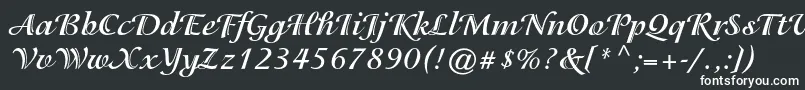 フォントIsadorastdBold – 黒い背景に白い文字