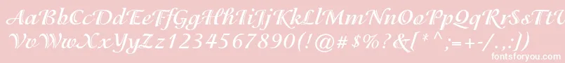IsadorastdBold Font – White Fonts on Pink Background