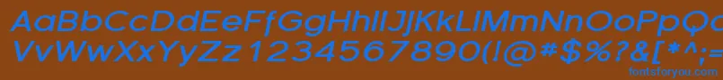 FlorencesansExpBoldItalic Font – Blue Fonts on Brown Background