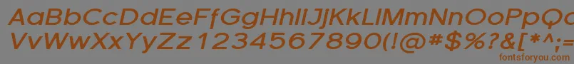 FlorencesansExpBoldItalic-Schriftart – Braune Schriften auf grauem Hintergrund
