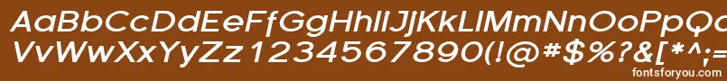 Шрифт FlorencesansExpBoldItalic – белые шрифты на коричневом фоне