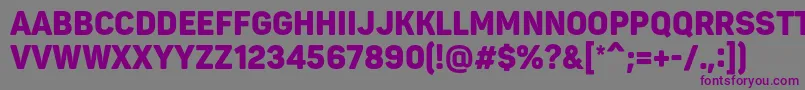 PantonnarrowBlackcaps Font – Purple Fonts on Gray Background