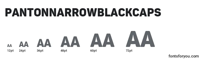 Размеры шрифта PantonnarrowBlackcaps
