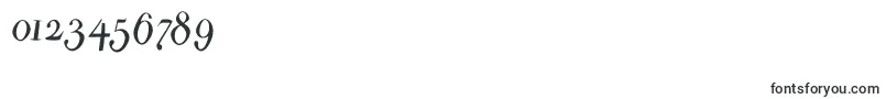 Parmapetitflyinground Font – Fonts for Numbers and Digits