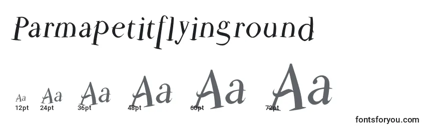 Размеры шрифта Parmapetitflyinground