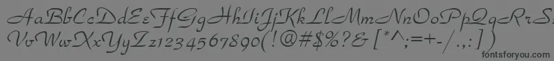 Torhok Font – Black Fonts on Gray Background