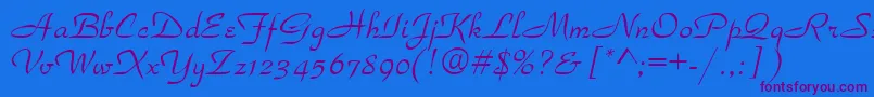 Torhok Font – Purple Fonts on Blue Background