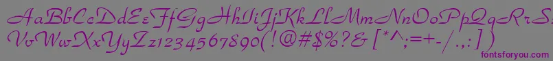 Torhok Font – Purple Fonts on Gray Background