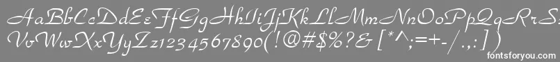 Torhok Font – White Fonts on Gray Background