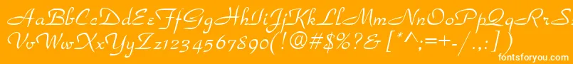 Torhok Font – White Fonts on Orange Background