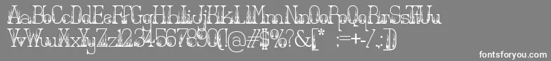 フォントHotsecretary – 灰色の背景に白い文字