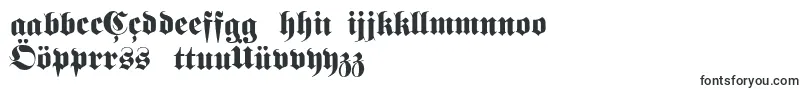 Fetteunzfraktur-fontti – turkkilaisten fontit