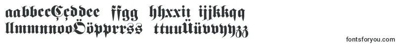 Шрифт Fetteunzfraktur – азербайджанские шрифты