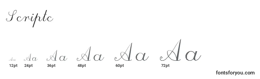 Размеры шрифта Scriptc