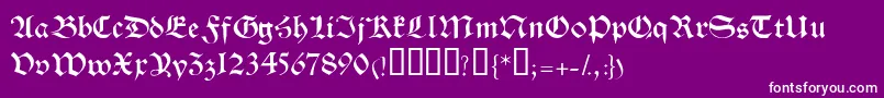 HalbrookesskBold Font – White Fonts on Purple Background