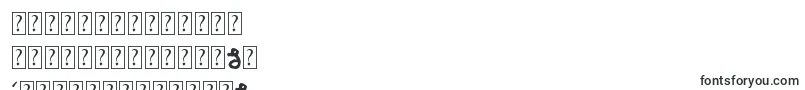 フォントBriascoRustic – 中国の文字（簡体字）