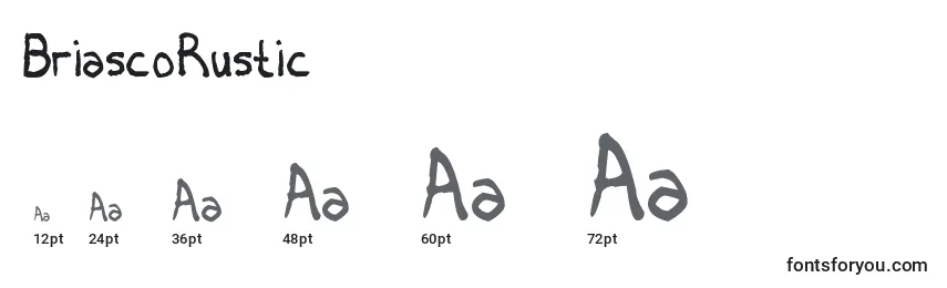 BriascoRustic Font Sizes