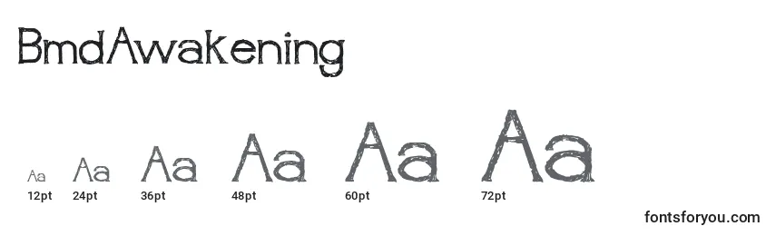 BmdAwakening Font Sizes