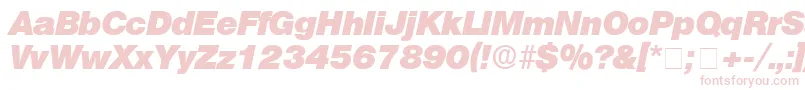 ChoqueDisplaySsiBoldItalic Font – Pink Fonts on White Background