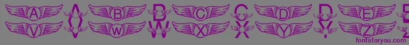 LmsICaughtHarrysSnitch Font – Purple Fonts on Gray Background