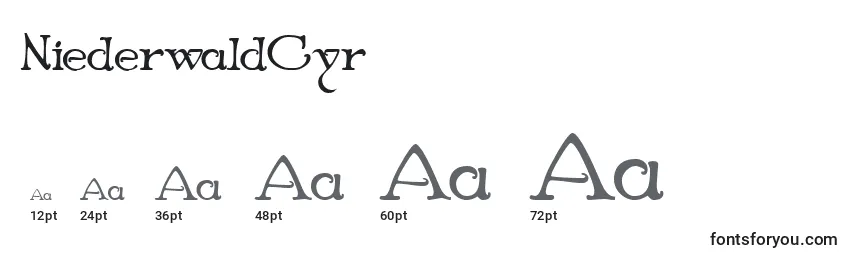 Размеры шрифта NiederwaldCyr