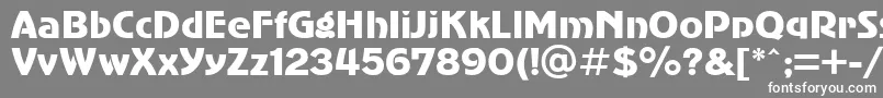 フォントSanasoftSub.Kz – 灰色の背景に白い文字