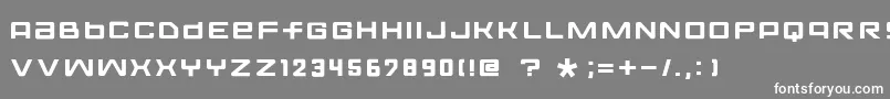 FontoposolidRegular Font – White Fonts on Gray Background