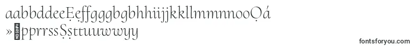 Police CormorantuprightLight – polices yoruba