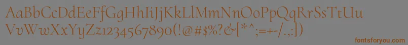 CormorantuprightLight Font – Brown Fonts on Gray Background