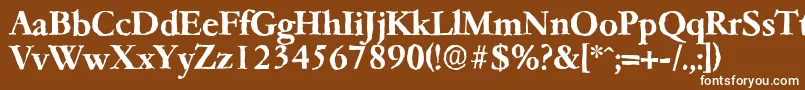 フォントGarfeldantiqueBold – 茶色の背景に白い文字