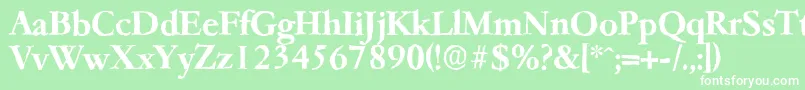 フォントGarfeldantiqueBold – 緑の背景に白い文字