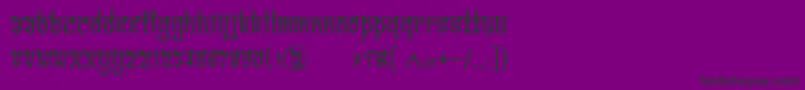 BitlingvedasRegular Font – Black Fonts on Purple Background