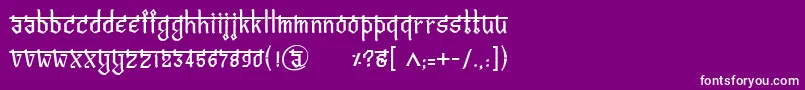 BitlingvedasRegular Font – White Fonts on Purple Background