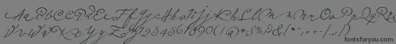 fuente Plumeroscript – Fuentes Negras Sobre Fondo Gris
