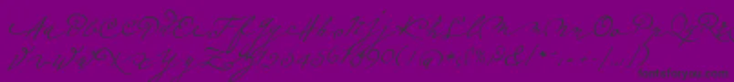 Fonte Plumeroscript – fontes pretas em um fundo violeta