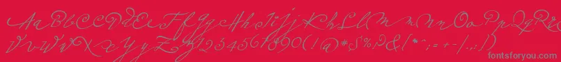 Шрифт Plumeroscript – серые шрифты на красном фоне