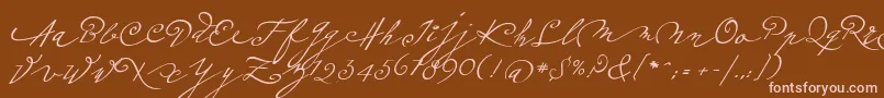Plumeroscriptフォントについての詳細 フォントPlumeroscript – 茶色の背景にピンクのフォント