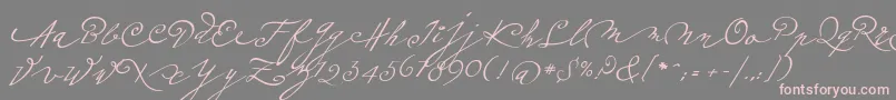 Fonte Plumeroscript – fontes rosa em um fundo cinza