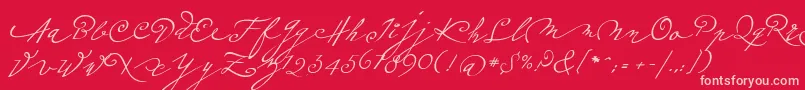 Шрифт Plumeroscript – розовые шрифты на красном фоне