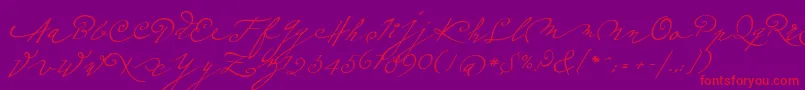 Fonte Plumeroscript – fontes vermelhas em um fundo violeta