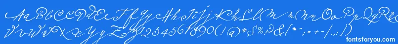 Police Plumeroscript – polices blanches sur fond bleu