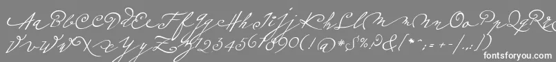 Więcej informacji o czcionce Plumeroscript Czcionka Plumeroscript – białe czcionki na szarym tle