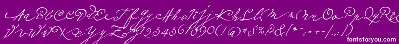 fuente Plumeroscript – Fuentes Blancas Sobre Fondo Morado