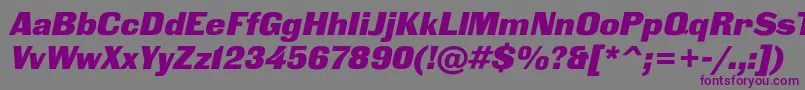 BlackgroteskcItalic-Schriftart – Violette Schriften auf grauem Hintergrund