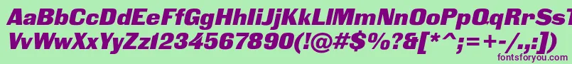 BlackgroteskcItalic Font – Purple Fonts on Green Background