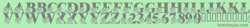 LmsPumpkinPal Font – Gray Fonts on Green Background